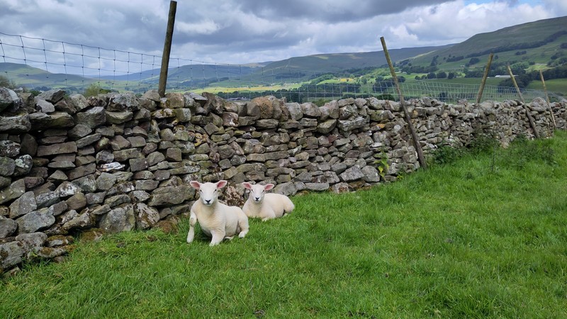 Yorkshire Dales 10