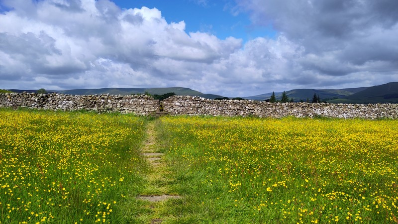 Yorkshire Dales 8